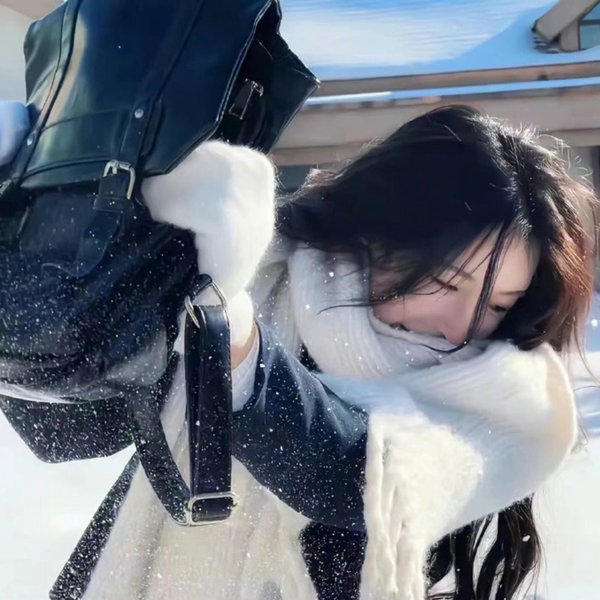 挪威的抵抗